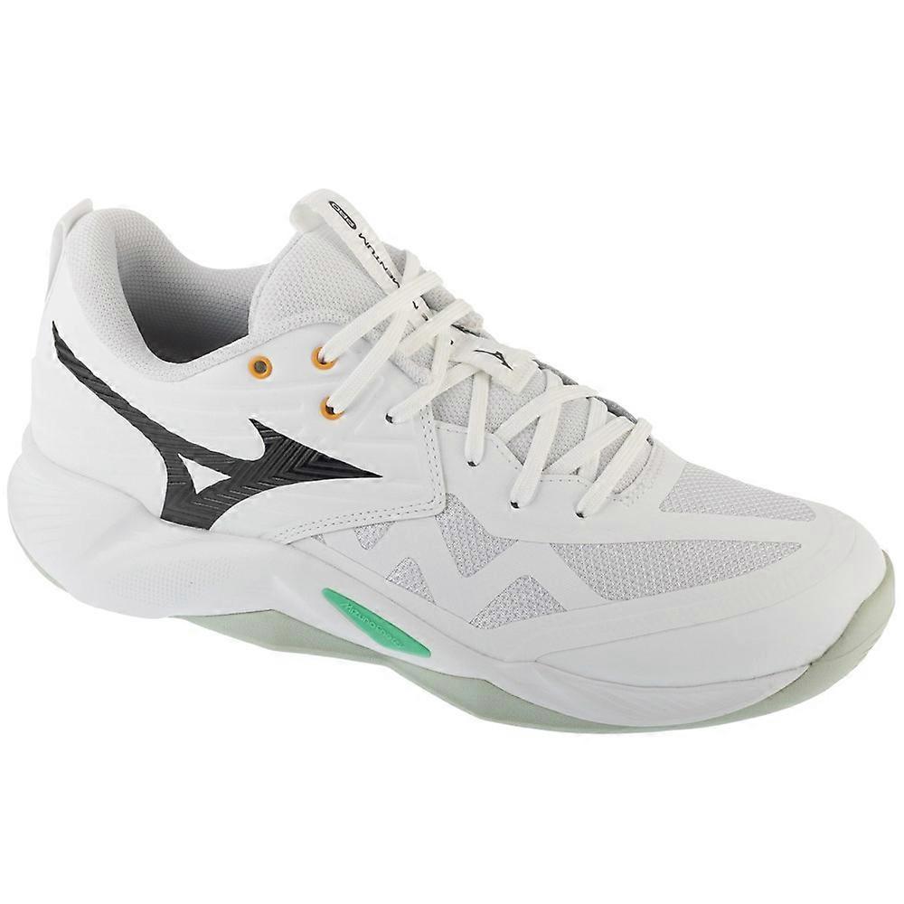 Shoes Mizuno Wave Momentum Pro V1GA254021
