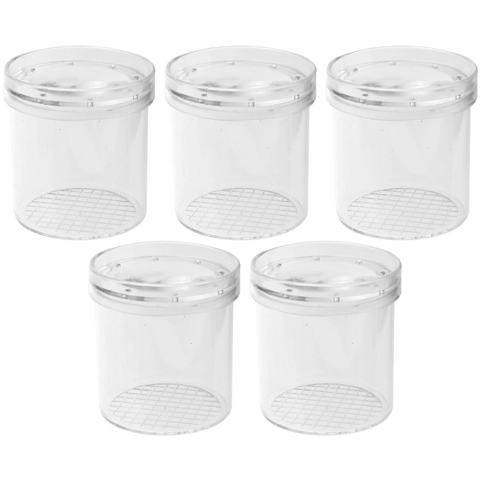 Leopard Bug Observation Box Insect Viewer for 5Pcs Kids Learning Tool