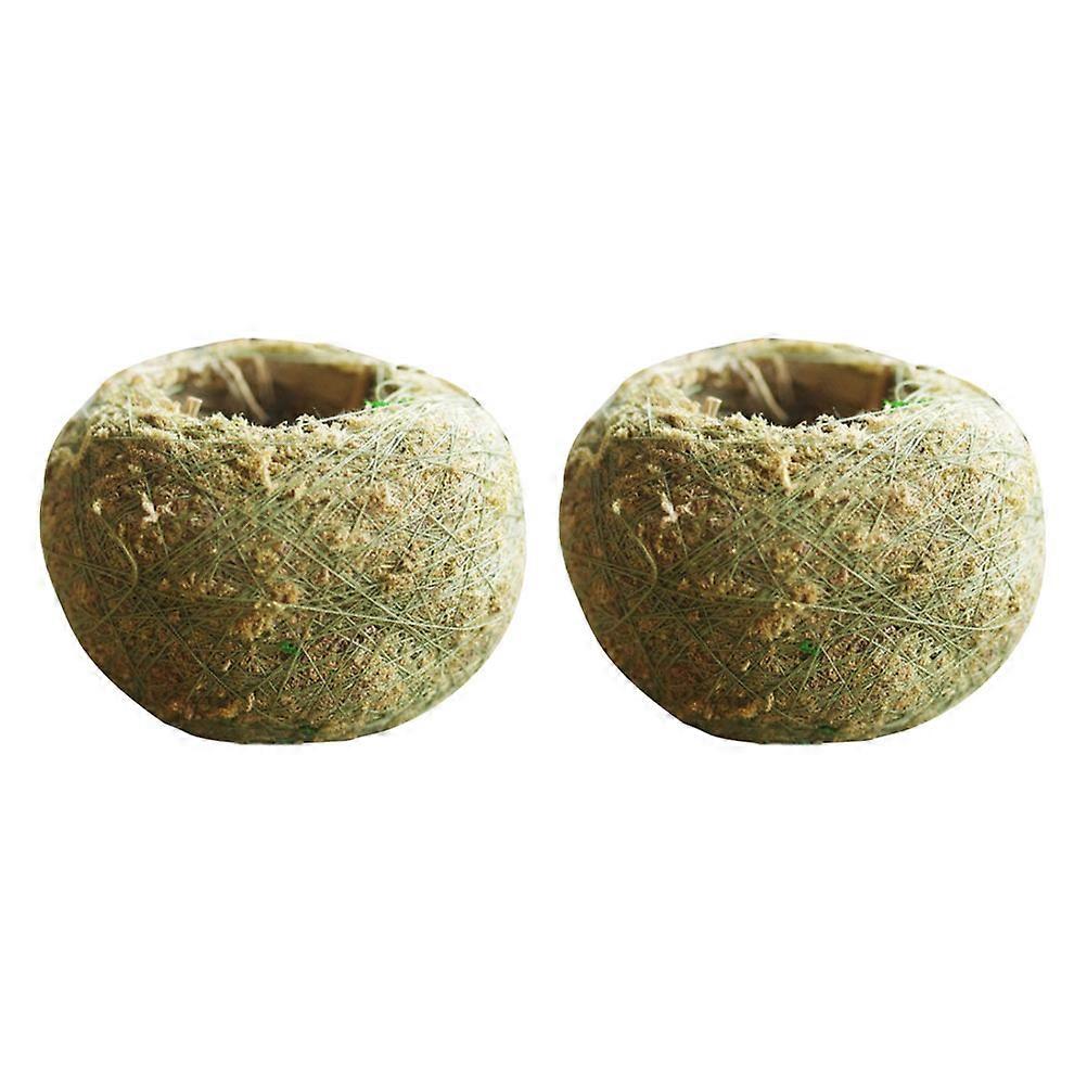 美しい植物のプレゼンテーションのための高品質の植木鉢