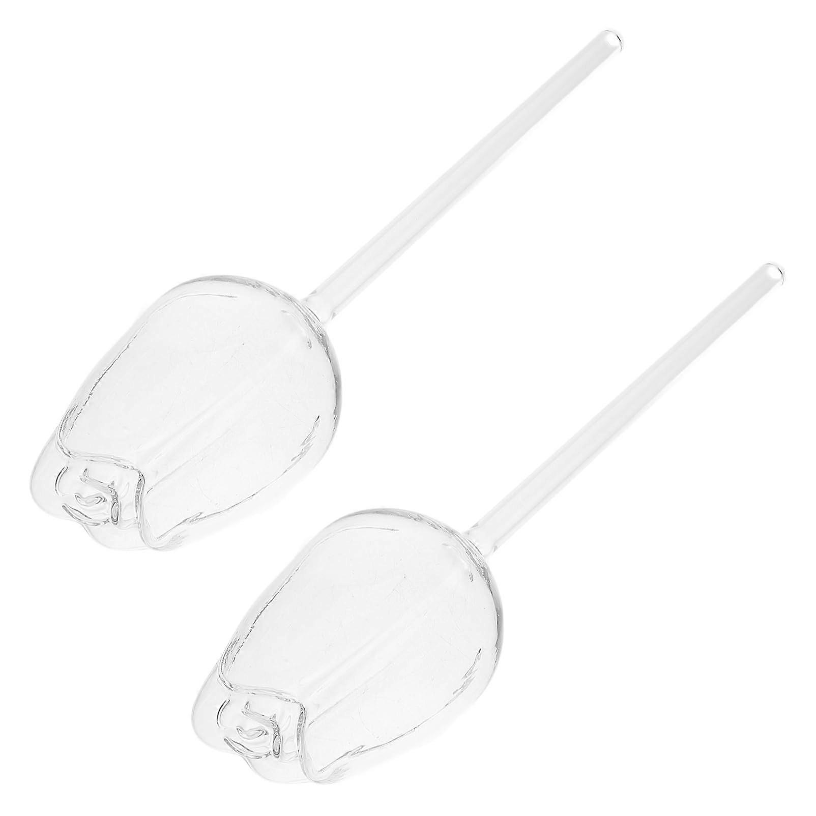Self-Watering Spikes Pack Of 2 For Roses Aquarium Large Glass High Borosilicate Content Transparent