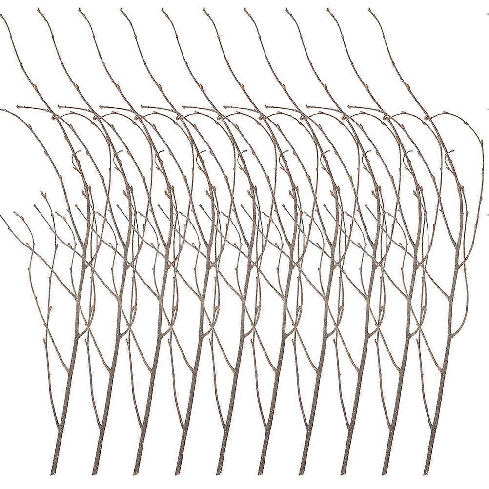 Natural Tree Branches Dried Tree Branches DIY Vase Filler Simple Style 50.00X0.60X0.60CM 12Set
