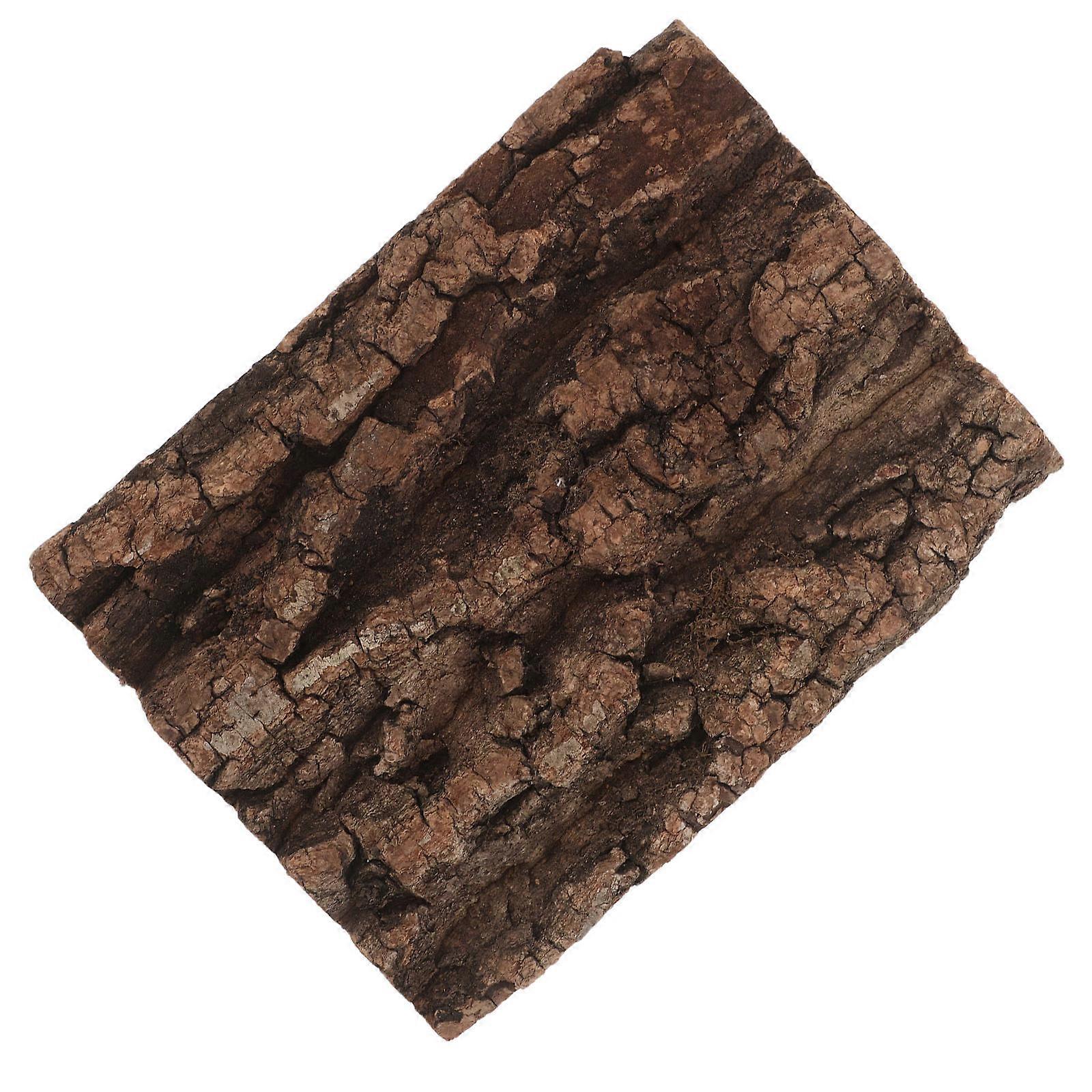 Cork Terrarium Background Natural Bark for Reptile Habitat 5Pcs Set