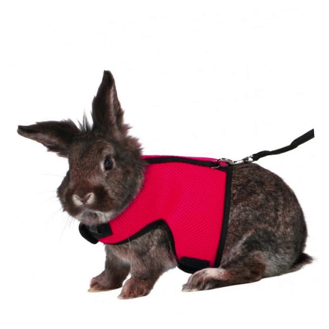 Adjustable Rabbit Harness and Leash with Soft Mesh, Lightweight Bunny Lead for Small Pets, Red
