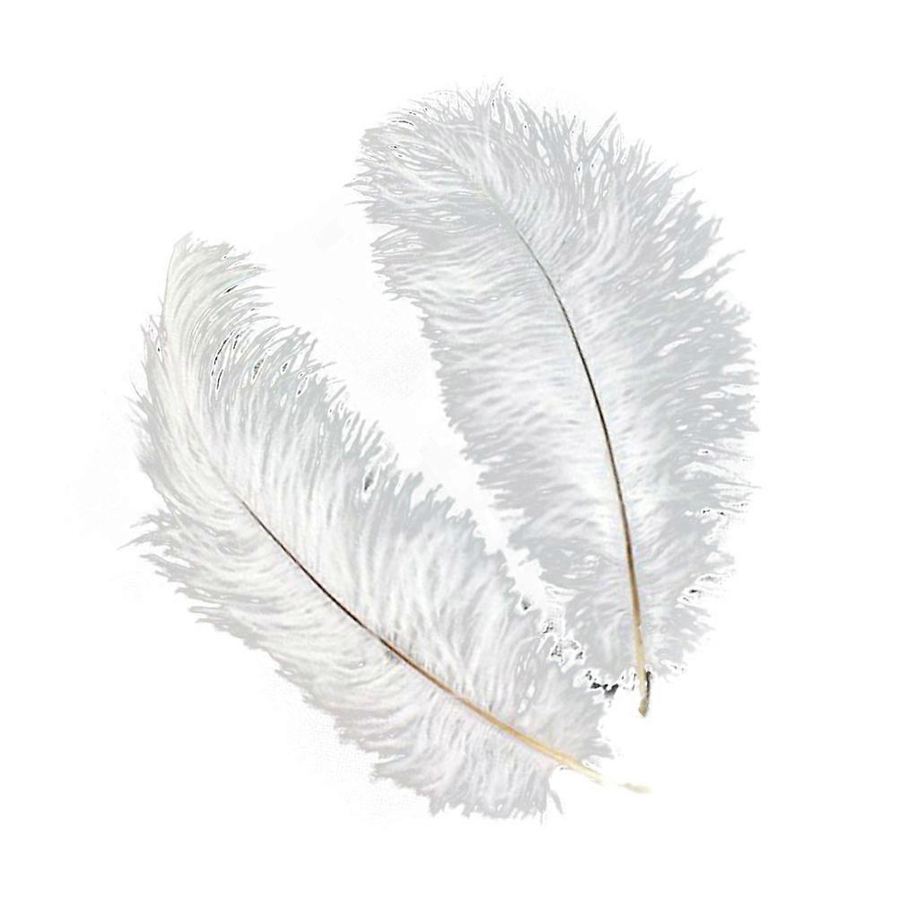 Artificial White Ostrich for Decoration 5Pcs Bundle