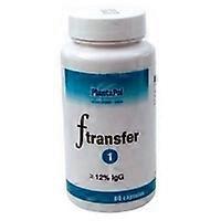 F Transfer 1 80 capsules