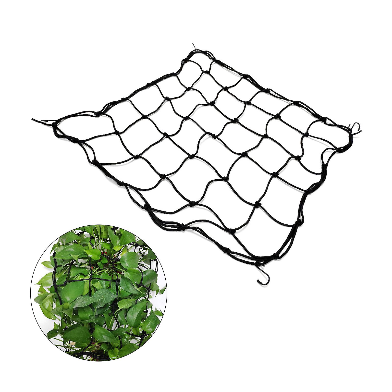 Elastic Plant Tent Compression Mesh Multifunctional Elastic Nylon Belt