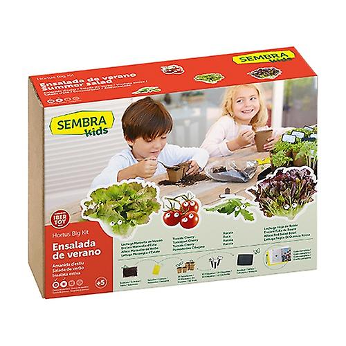 Summer Salad Seeds 1 unit