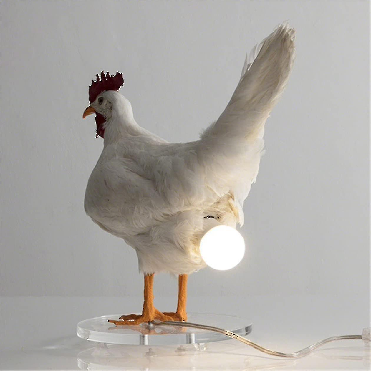 Chicken Led Lamp Egg Night Lamp Taxidermy Egg Desk Lamp