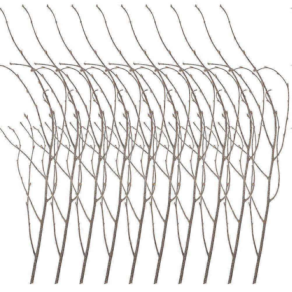 12Pcs Natural Dried Tree Branches DIY Birch Branches Flower Arrangement Branch