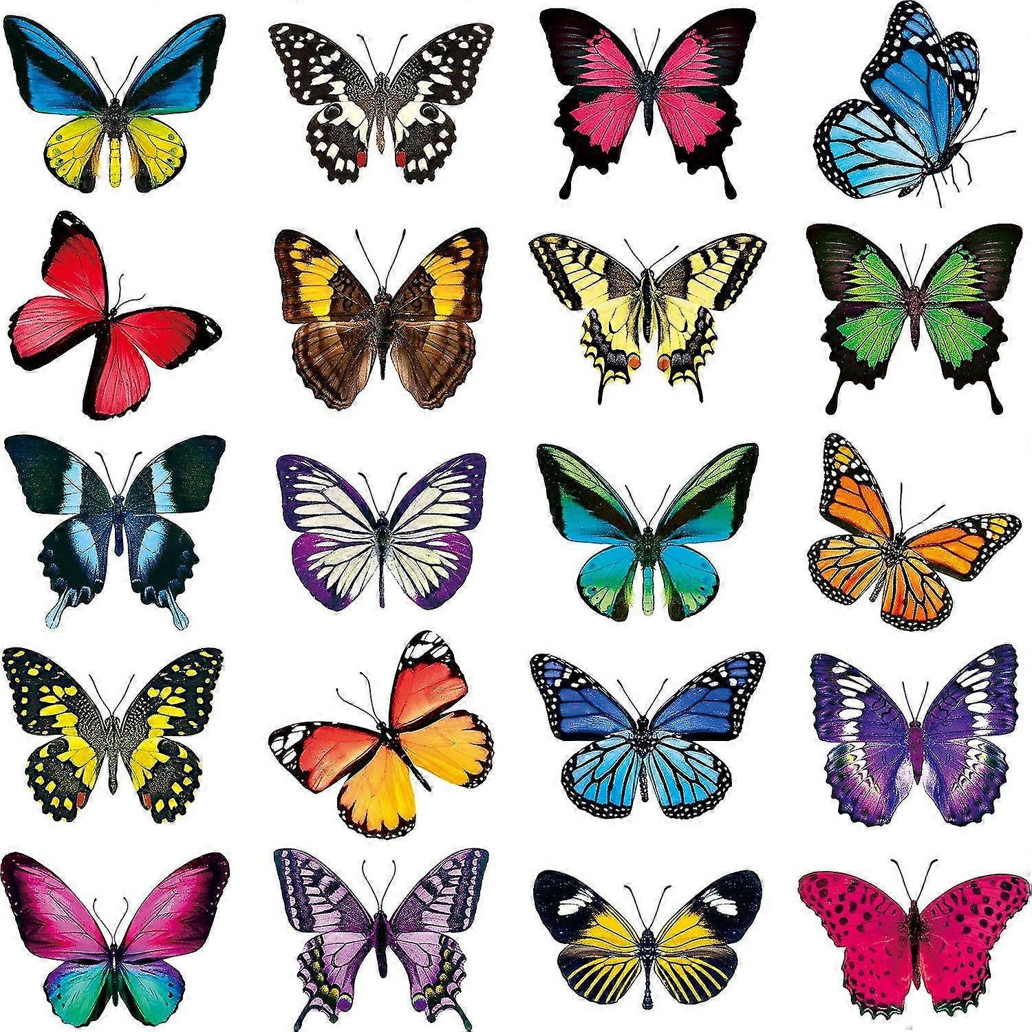 20 Butterfly Window Adhesive Decal