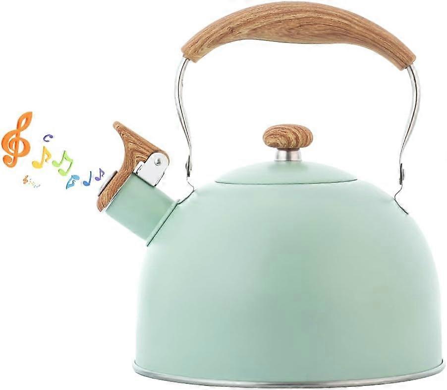 Whistling Stainless Steel Induction Kettle with