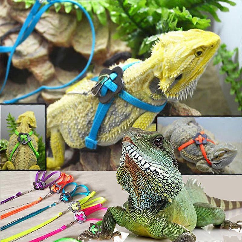 1 pcs Lizard Harness Leash Delicate Adjustable Leash for Animal Reptile Lizard