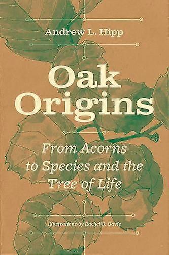 Oak Origins by Andrew L. Hipp Paperback Book