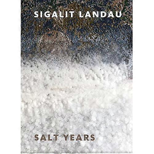 Sigalit Landau: Salt Years