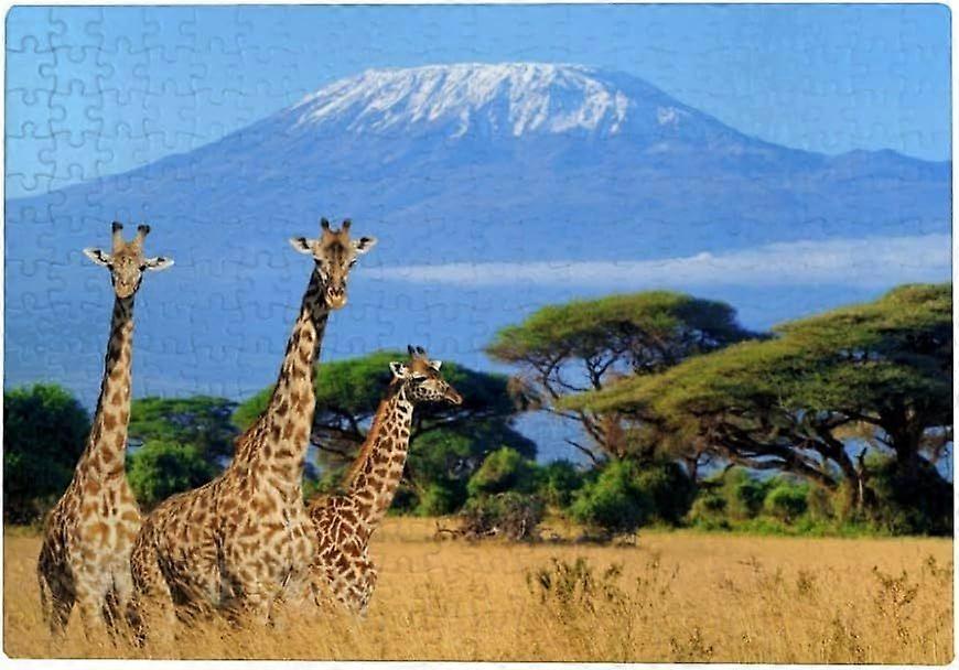Schmidt Spiele 500-Piece Puzzle – Paradise Under Mount Kilimanjaro By Chuck Pinson, Premium Quality For Adults