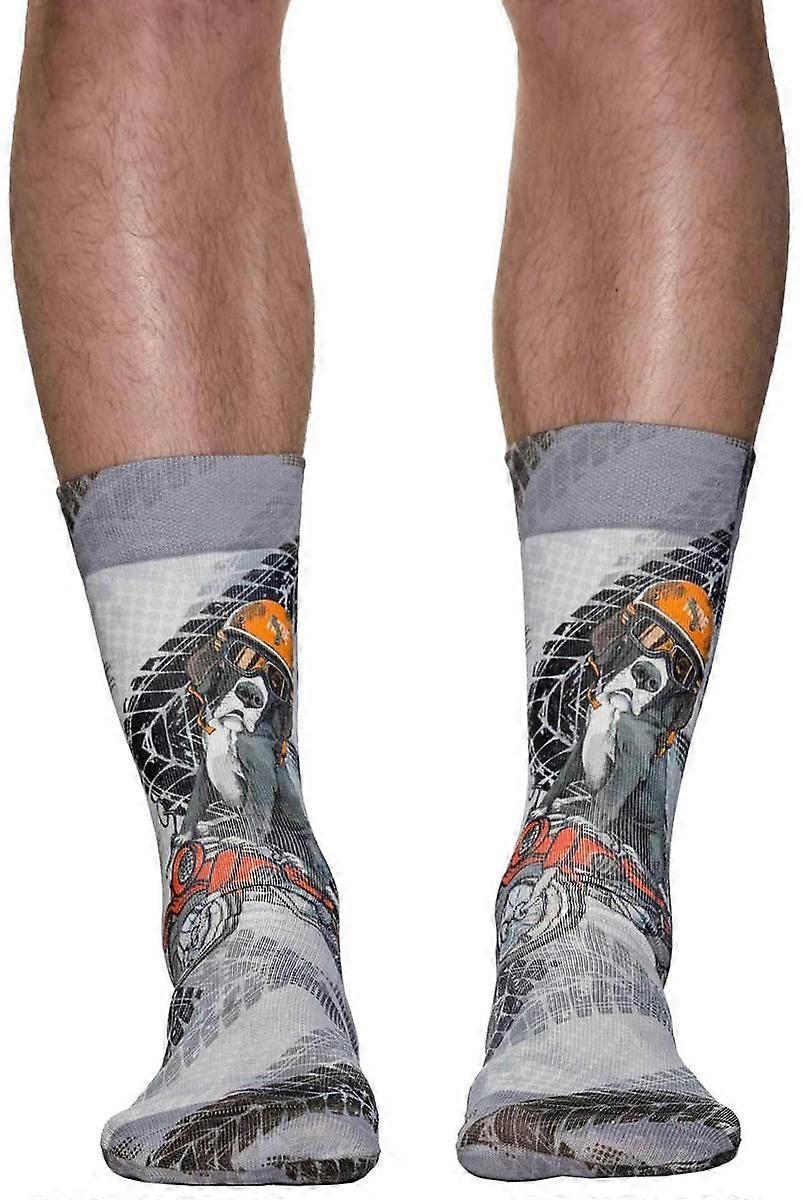 Wigglesteps Scooter Dog Socks - Grey/Orange/Red
