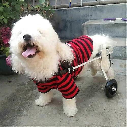 Dog Pet Wheelchair, 2 Wheels, Rear Wheel Support, Lightweight Wheelchair, Cat Stroller, Walking Frame with Wheels, Suitable for Most Dogs XXS