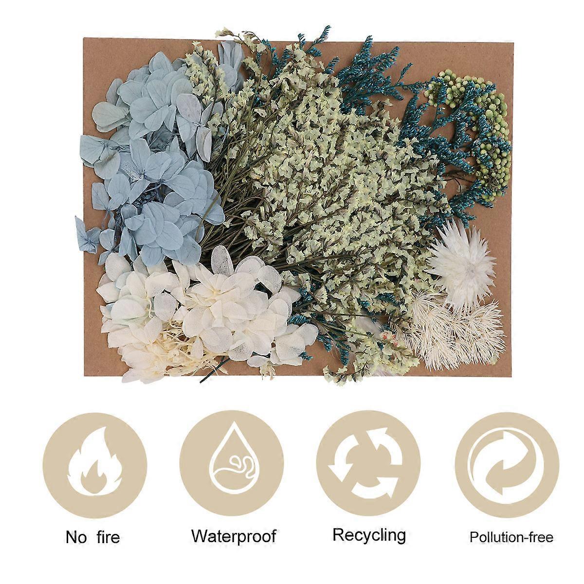 Beautiful Natural Dried Flower Bundle for Decoration Assorted Color Lightweight and Convenient 100g