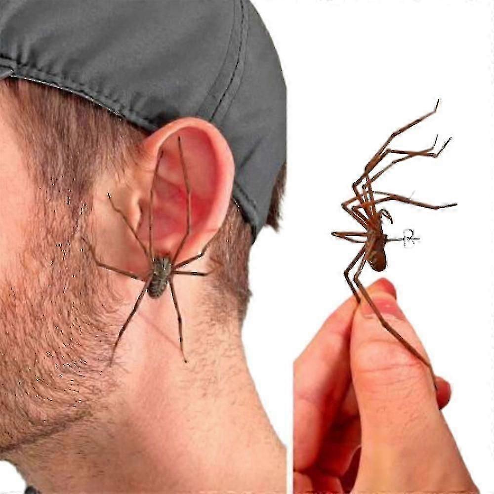 Giant Spider Earrings Men's Earrings