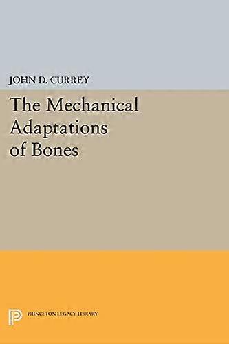 De mekaniska anpassningarna av ben