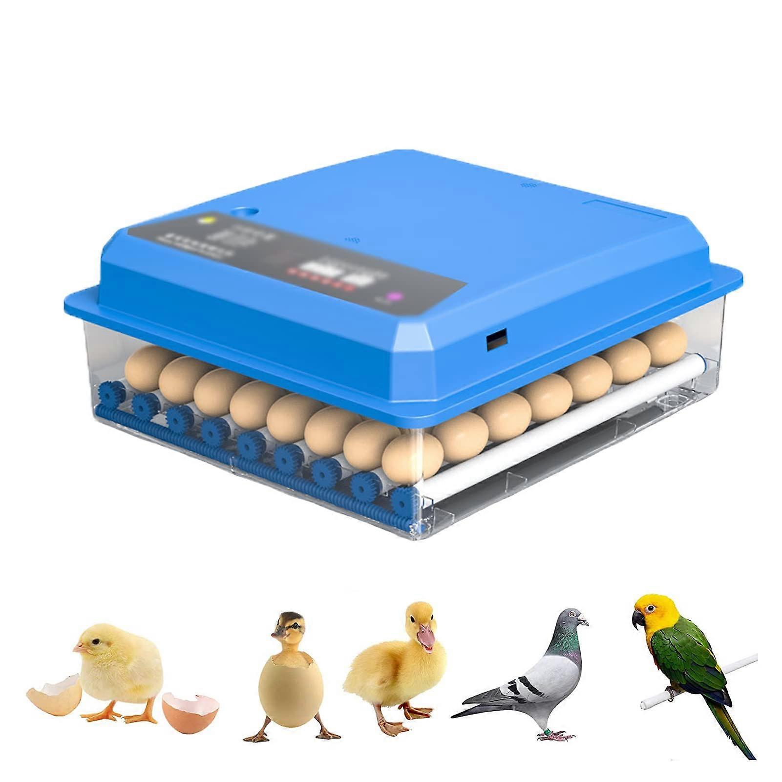 Automatic Egg Incubator 56 Eggs Digital Poultry Hatcher with Auto Turning and Temperature Control