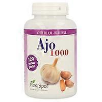 Garlic 1000 120 softgels