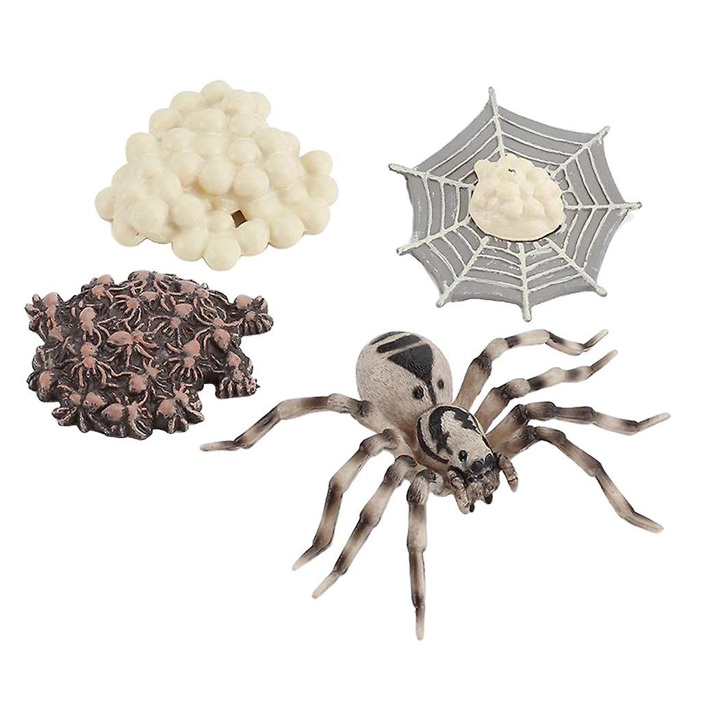 Life Cycle of Spider Plastic Realistic Model Figurines Learning Educational