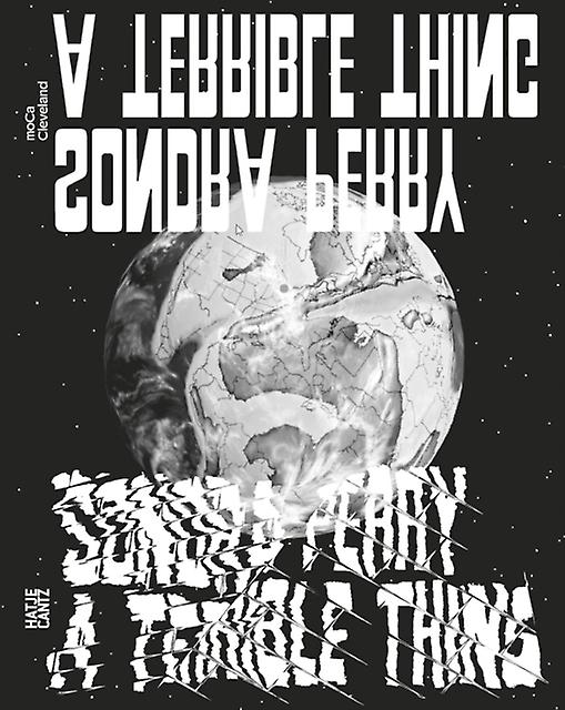 Sondra Perry A Terrible Thing by Michael Aberman Paperback