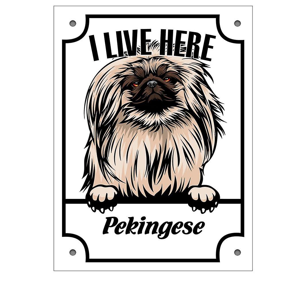 Tablă pekingese Kikande câine semn 