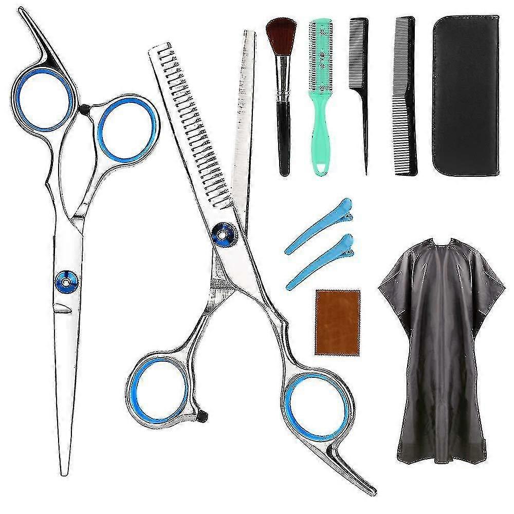 10 أجهزة الكمبيوتر الشخصية / مجموعة الفولاذ المقاوم للصدأ تصفيف الشعر مقصات أداة حلاقة