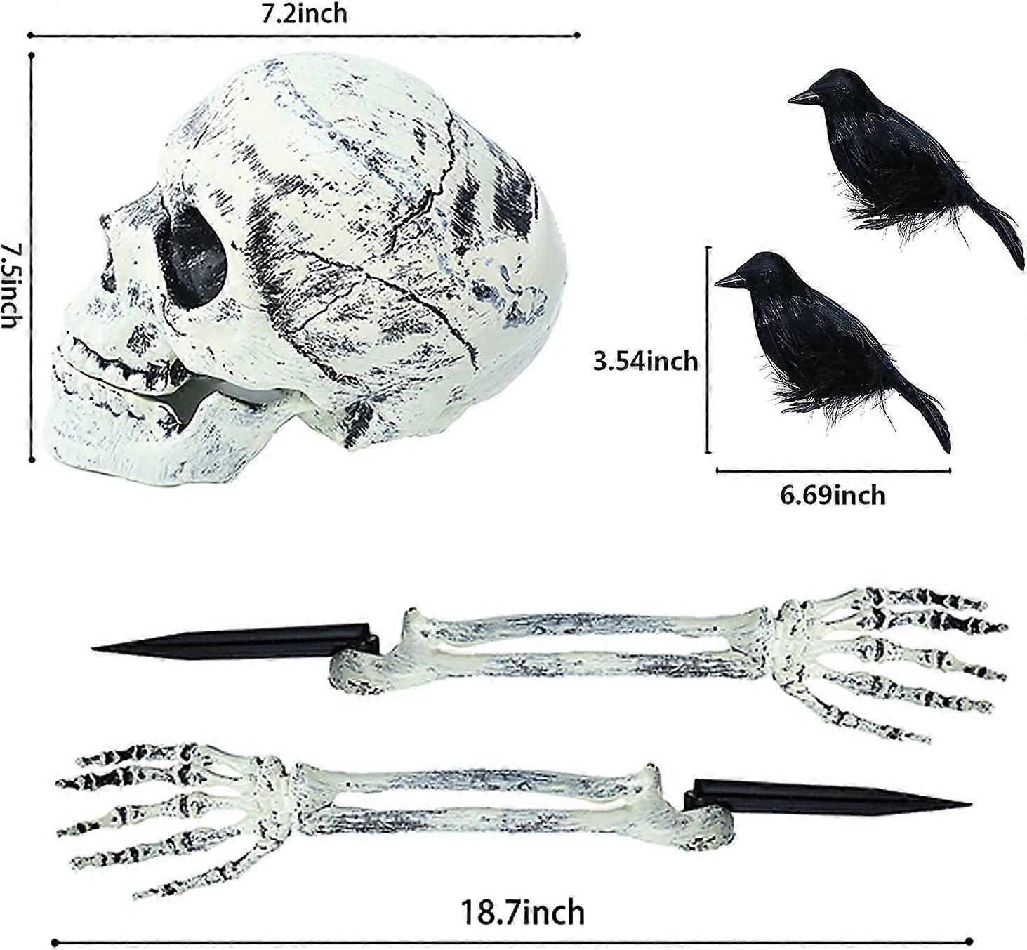 Halloween decorative floor skull simulation skull props Ghost Festival garden skull ornaments,Skull and two crows