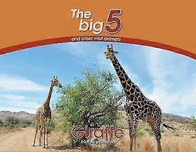 Giraffe The Big 5 and other wild animals