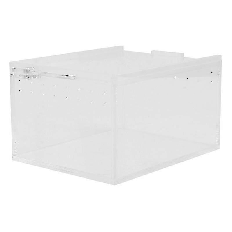1pcs Reptile Box For Tree Frog