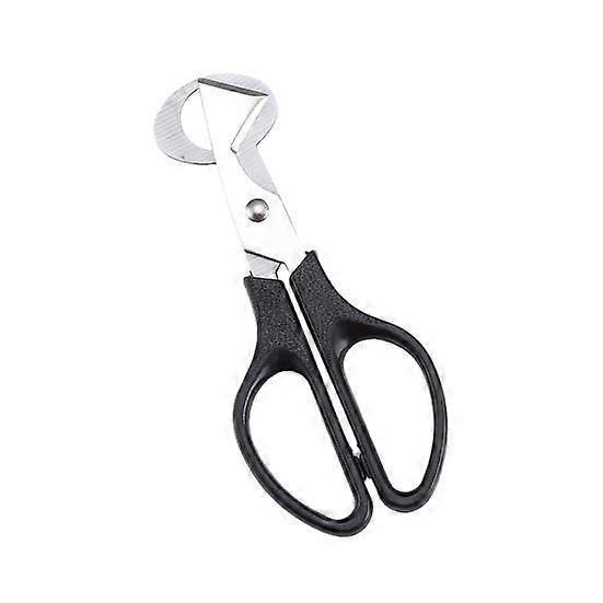 Practical Anti-rust Professional Stable Quail Dove Bird Egg Cutter Stainless Steel Scissor for Kitchen Dove Egg Opener