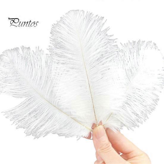 10 Sticks Feather Decoration Kit Centerpieces Crafts Dream Catchers Vibrant Color Feather Art DIY Projects Parties Costume Decor