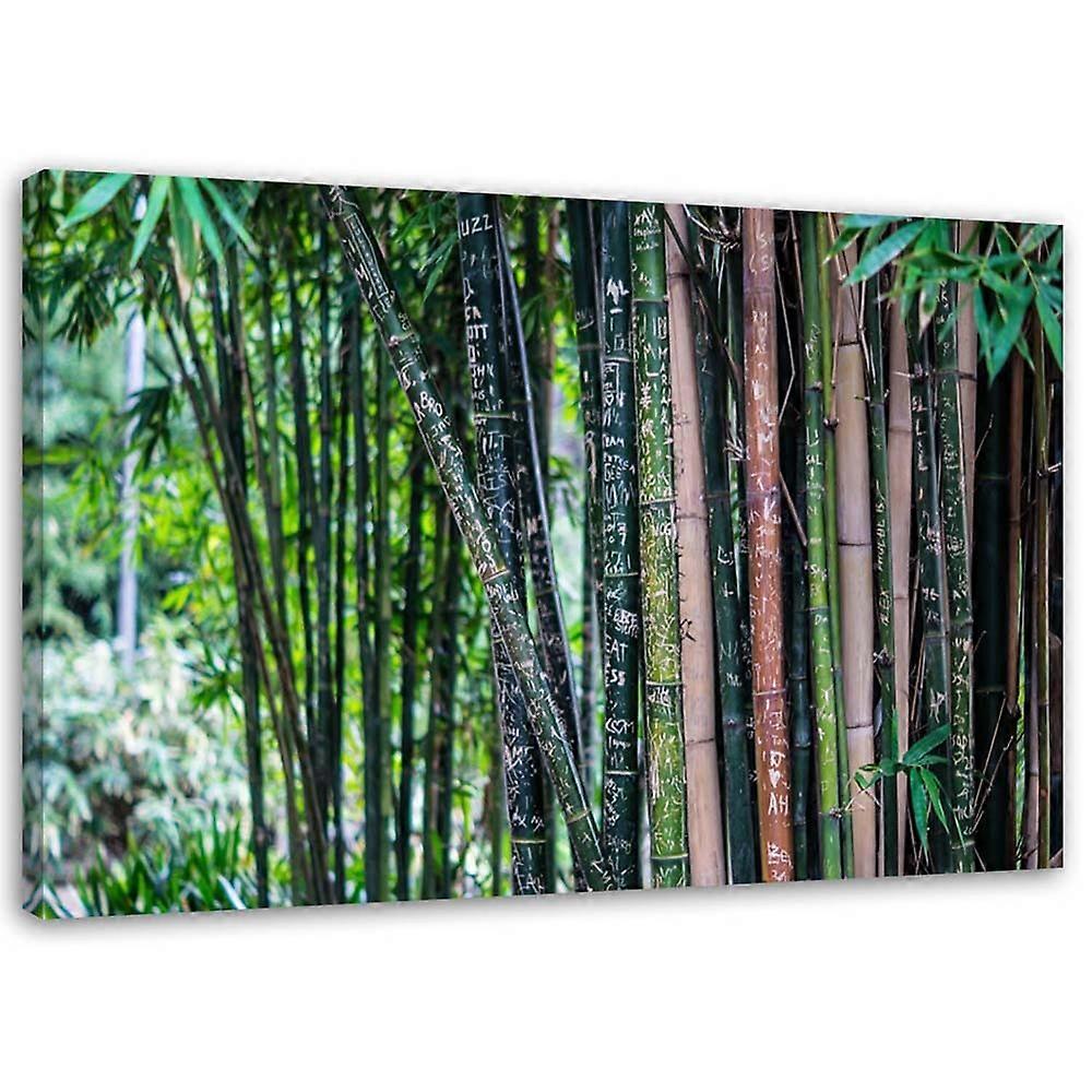 Impression sur toile, Tiges de bambou - 100x70