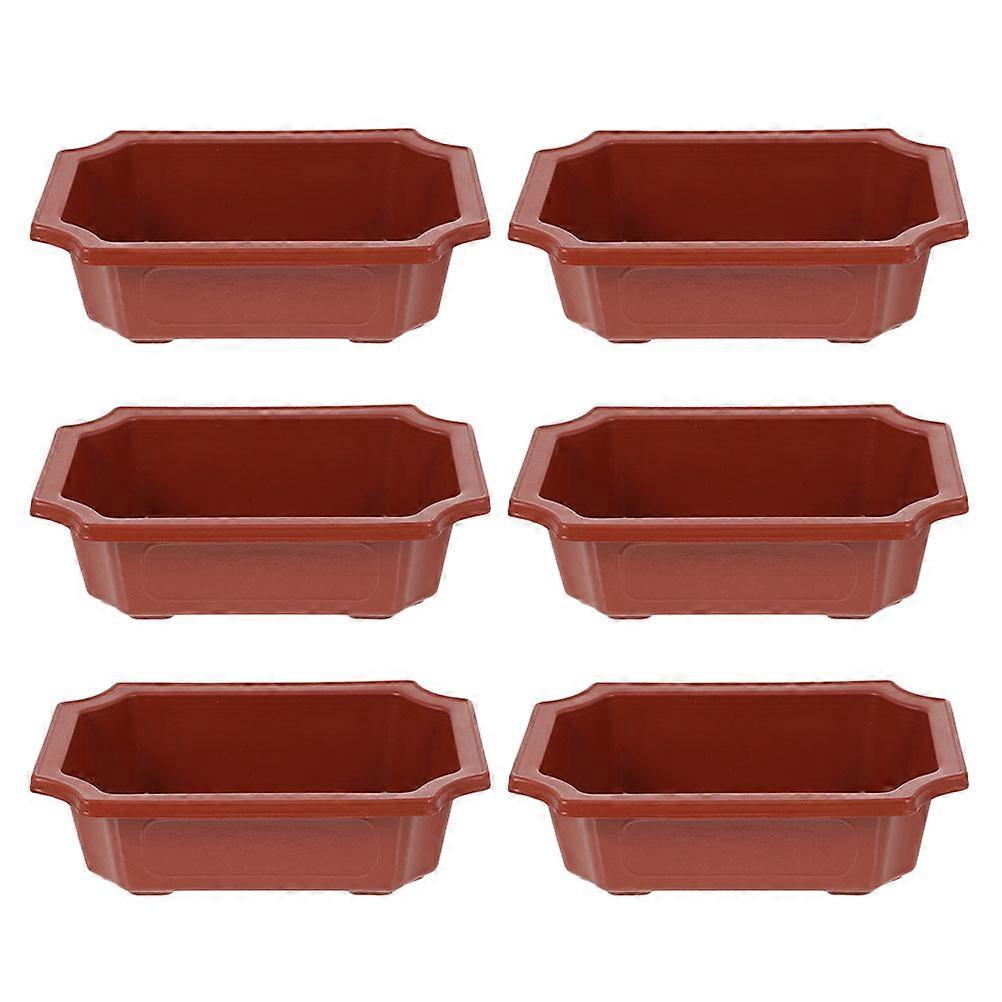 Sturdy Succulent Planters, Designed for Lasting Use in Any Setting