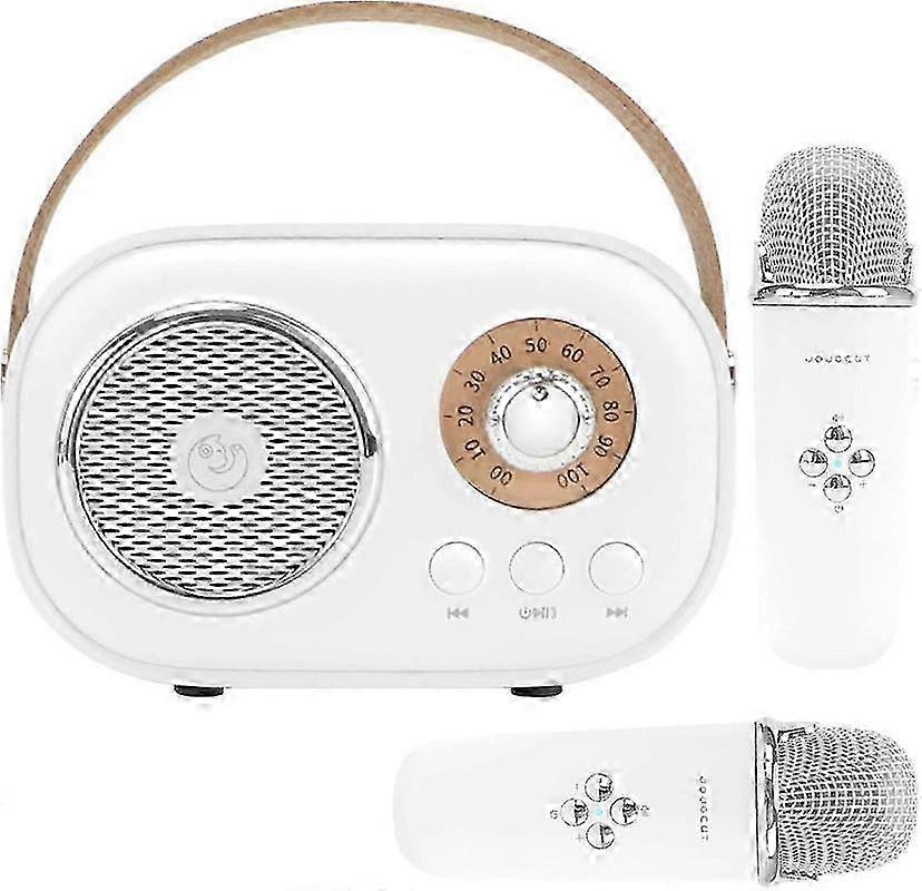 Mini Karaoke Machine with 2 Wireless Mics for Kids 2025