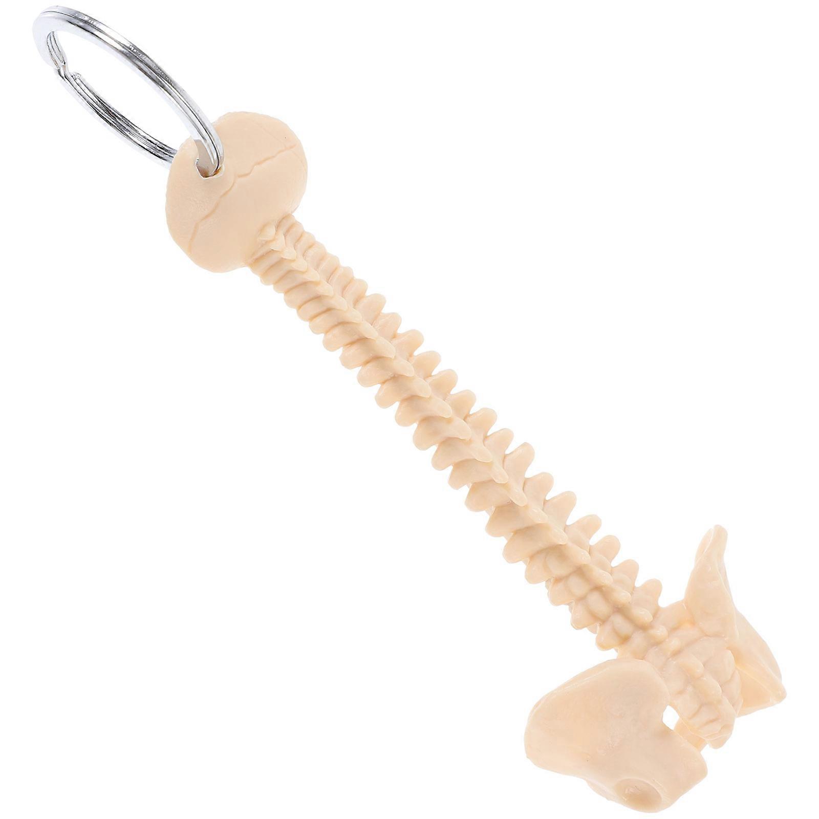 Spine Keychain for Classroom Study 5Pcs Beige PVC Pendant Teaching Model