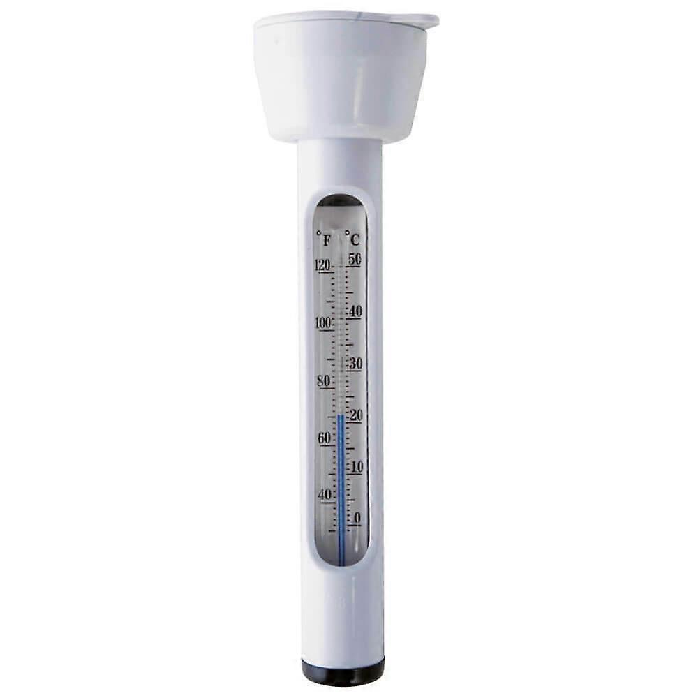 Intex Pool Thermometer