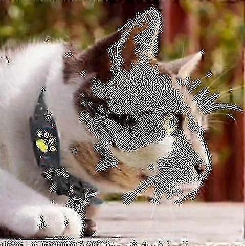 Smart Gps Cat And Dog Collar Tracker