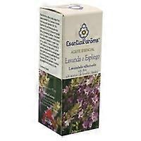Lavender Vera essential oil 5 ml (Lavender)