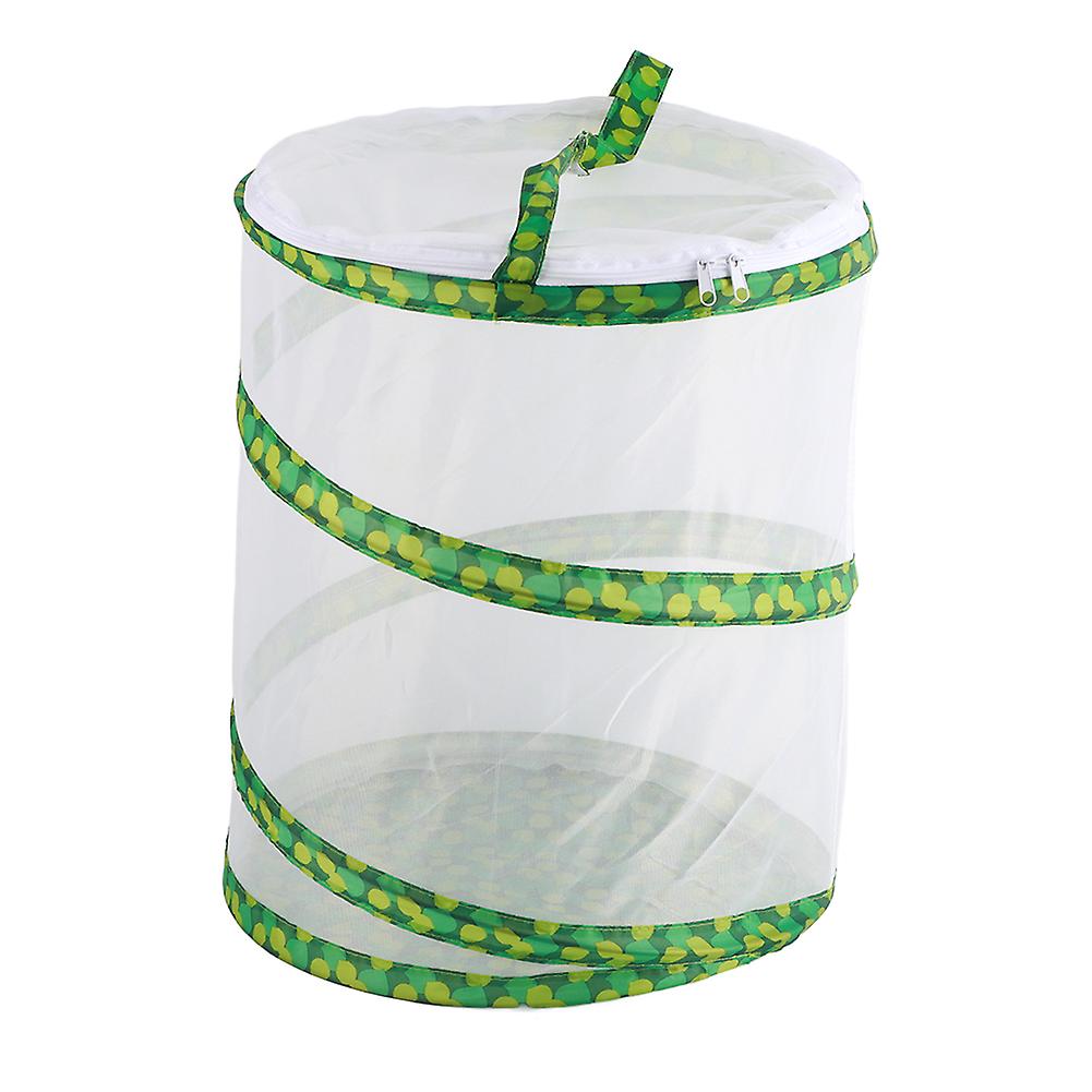 Net Collapsible Insect Cage Collapsible Insect Housing Enclosure Breeding Cages