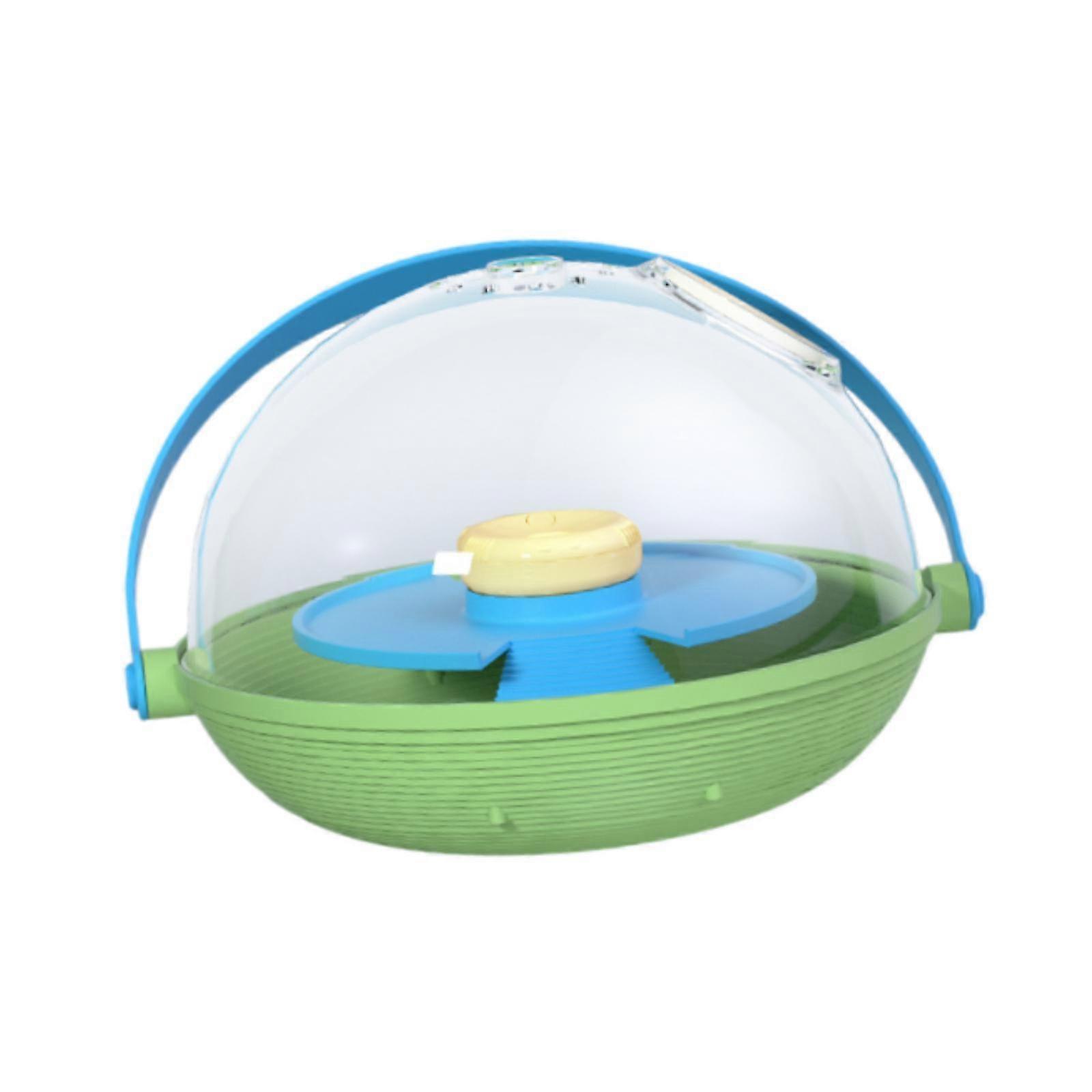 Turtle Incubate Turtle Egg Incubate Tank Turtle Visualization Tortoise Habitat