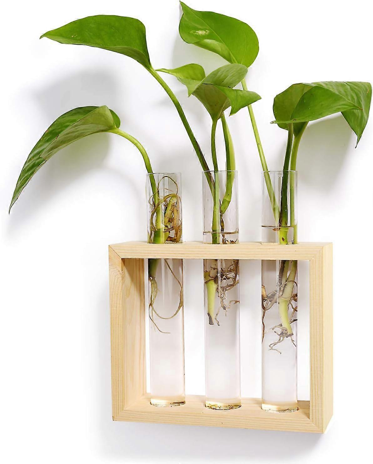 الحائط الزجاج مصنع وعاء terrarium الحديثة زهرة برعم إناء في حامل خشبي منضدية