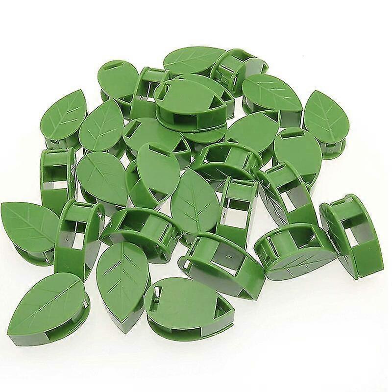 Invisible Plant Climbing Wall Fixture Rattan Vine Bracket Fixed Buckle Leaf Clips Traction Holder Garden