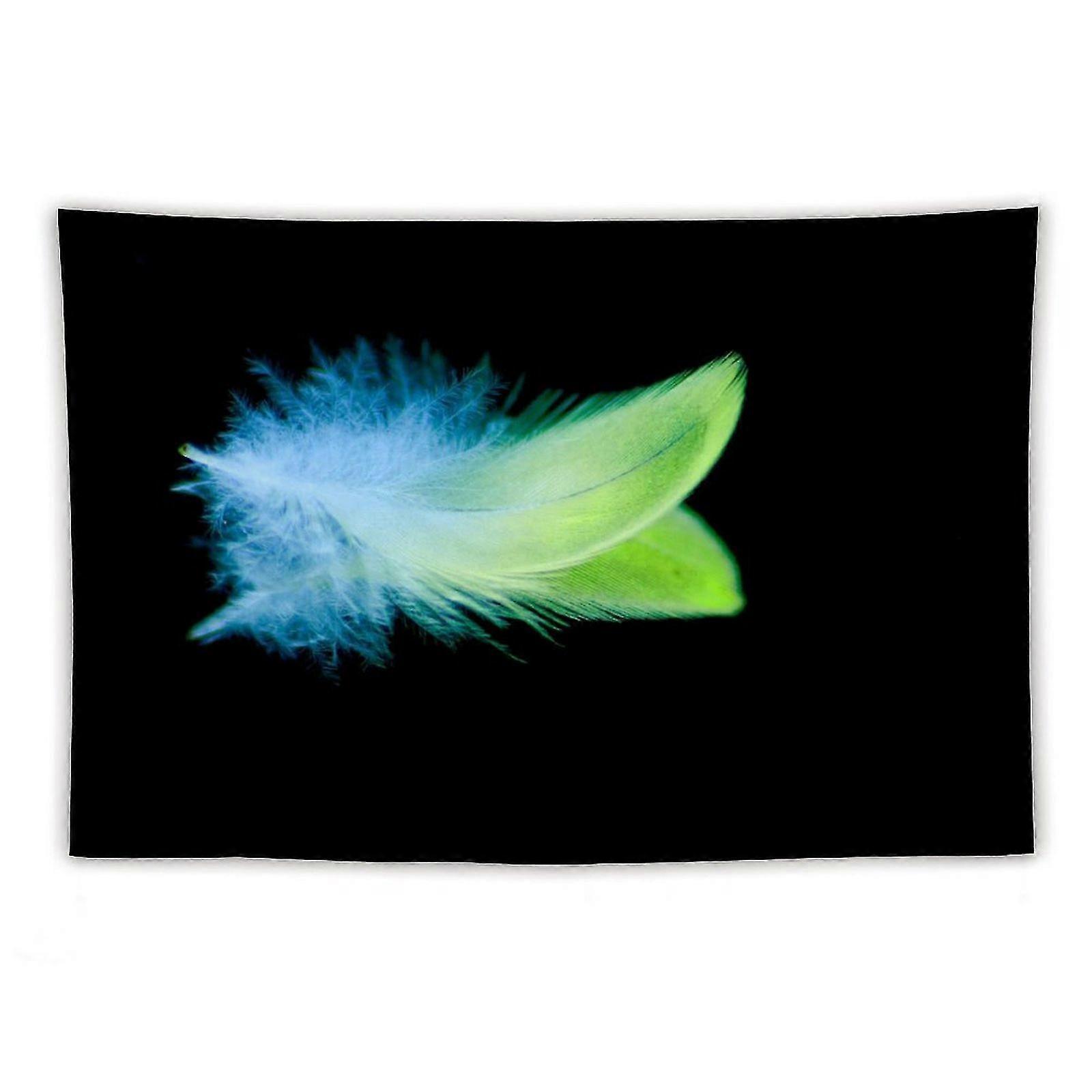 Photo de tapisseries de plumes