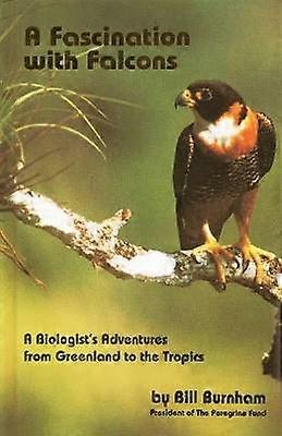 Fascination with Falcons
