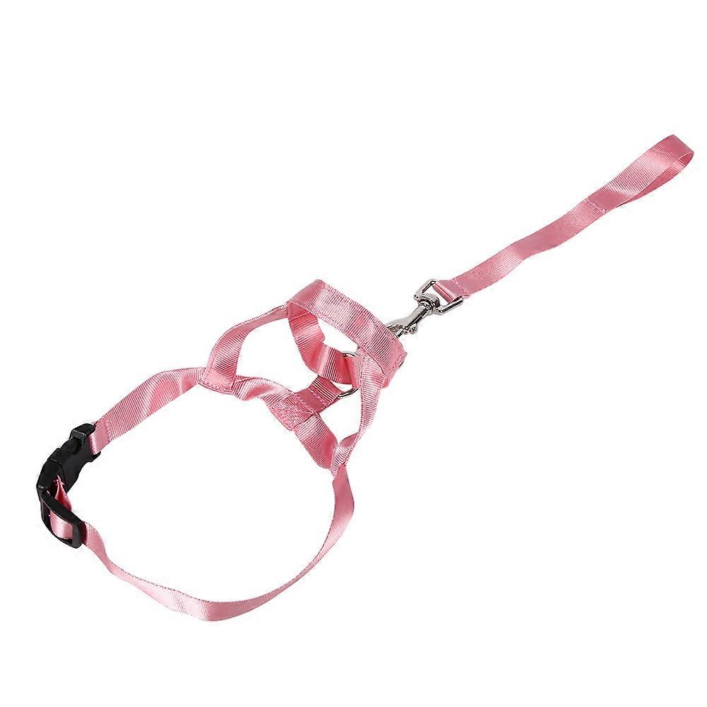 Nylon Pull Straps for Puppy Training: Anti - bite Anti - eating Leader