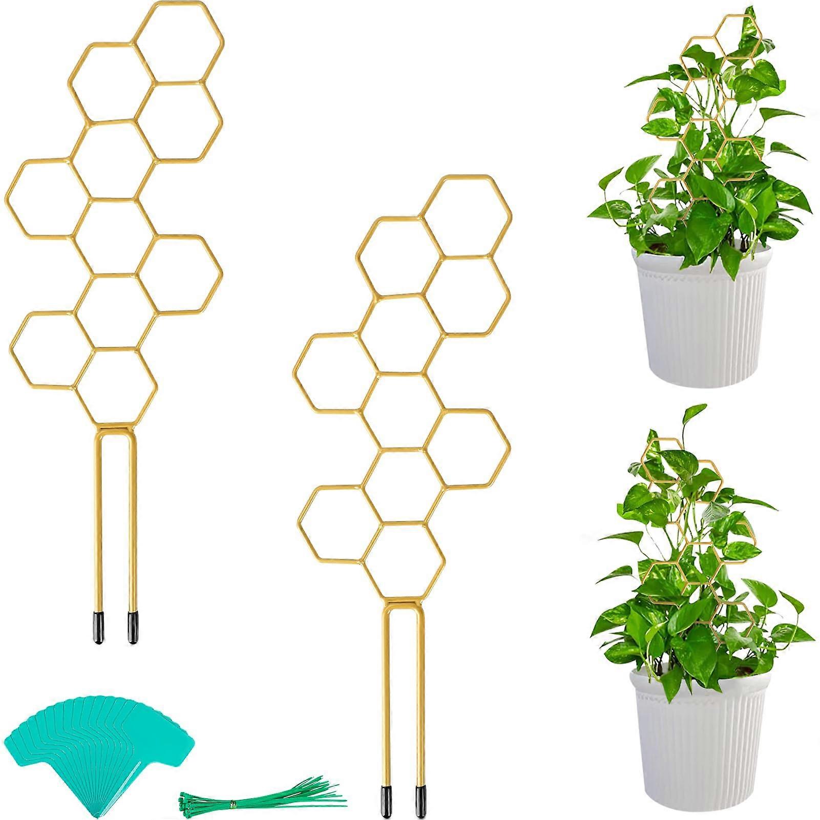 14-Inch Small Plant Cage for Climbing Plants, Includes 2 Metal Honeycomb Pots and 20 Cable Ties for Support